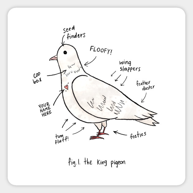 Anatomy of a Pigeon Pigeon Sticker TeePublic